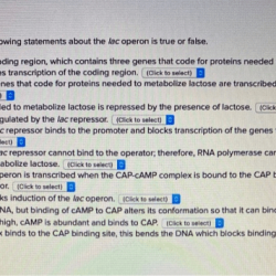 Lac operon simulation answer key