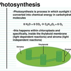 Choose the reaction that represents the combustion of c6h12o2