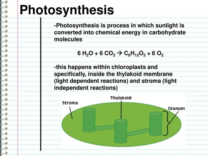 Choose the reaction that represents the combustion of c6h12o2